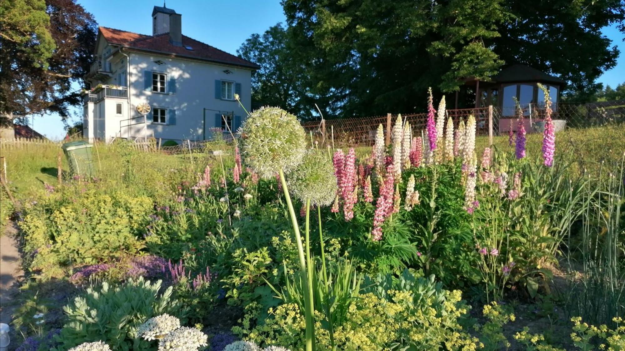 Seesicht Und Charmante Wohnung Bei Hanni Und Ueli Bottighofen Exterior photo